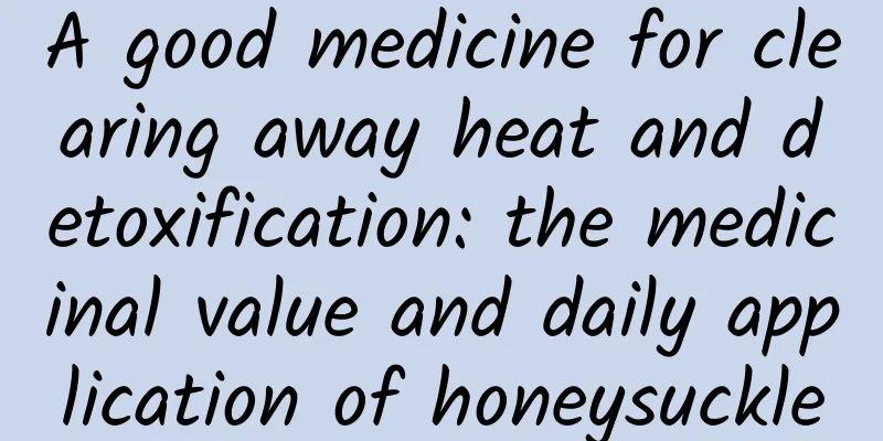 A good medicine for clearing away heat and detoxification: the medicinal value and daily application of honeysuckle