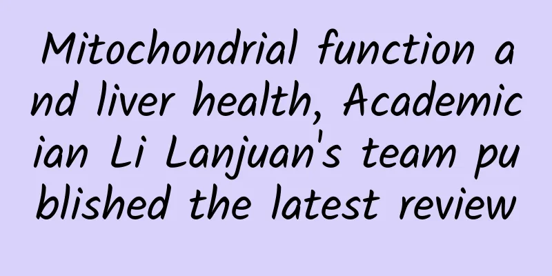 Mitochondrial function and liver health, Academician Li Lanjuan's team published the latest review