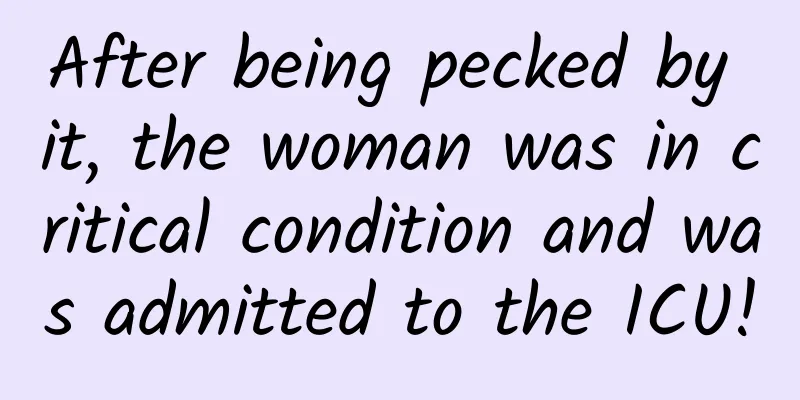 After being pecked by it, the woman was in critical condition and was admitted to the ICU!