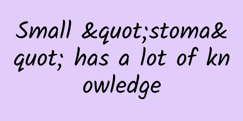 Small "stoma" has a lot of knowledge