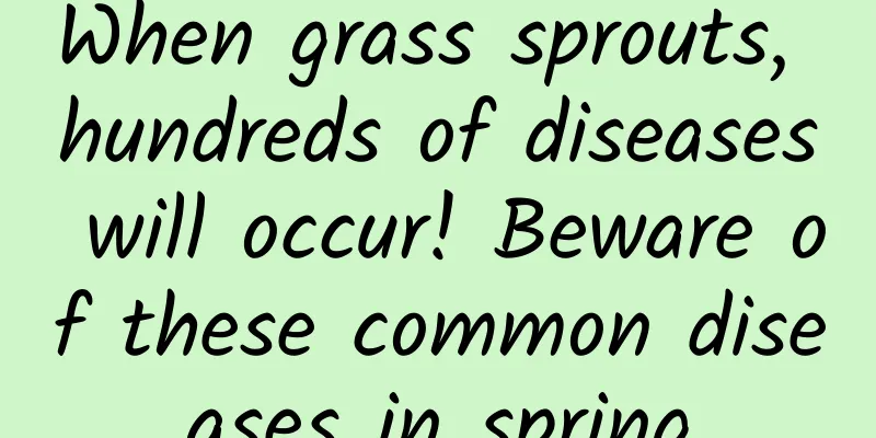 When grass sprouts, hundreds of diseases will occur! Beware of these common diseases in spring