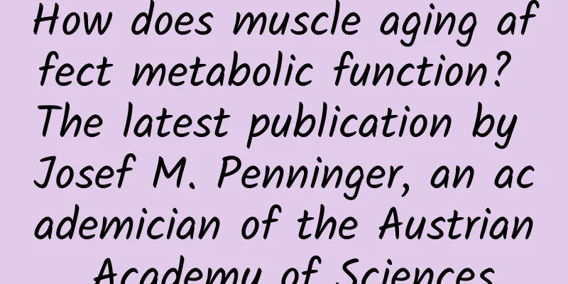 How does muscle aging affect metabolic function? The latest publication by Josef M. Penninger, an academician of the Austrian Academy of Sciences