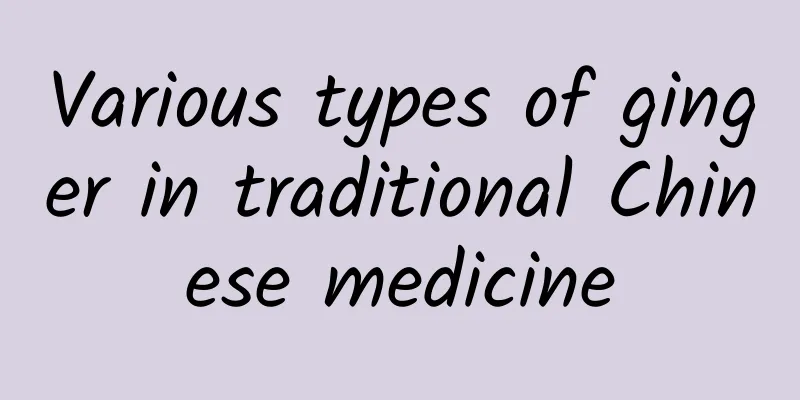 Various types of ginger in traditional Chinese medicine