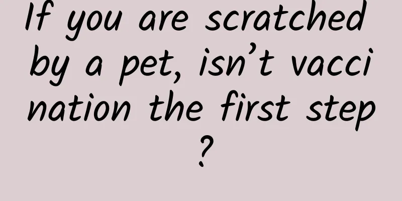 If you are scratched by a pet, isn’t vaccination the first step?
