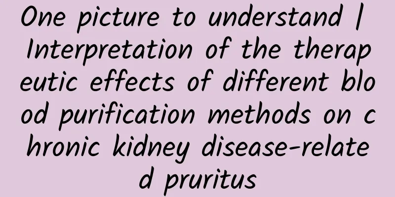 One picture to understand | Interpretation of the therapeutic effects of different blood purification methods on chronic kidney disease-related pruritus