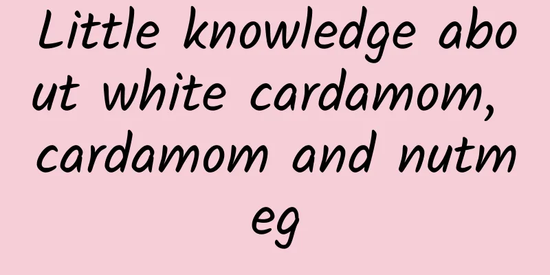 Little knowledge about white cardamom, cardamom and nutmeg