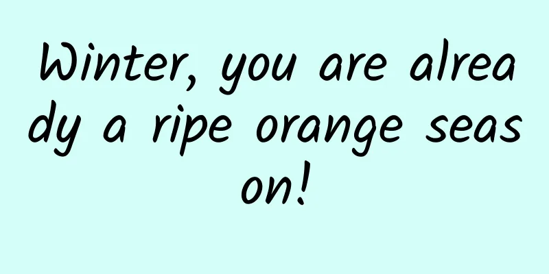 Winter, you are already a ripe orange season!