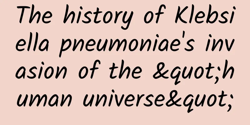 The history of Klebsiella pneumoniae's invasion of the "human universe"