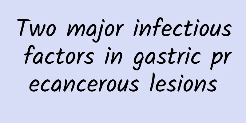 Two major infectious factors in gastric precancerous lesions