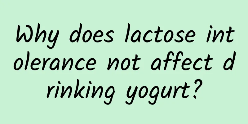 Why does lactose intolerance not affect drinking yogurt?