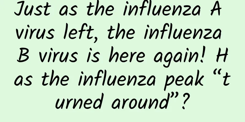 Just as the influenza A virus left, the influenza B virus is here again! Has the influenza peak “turned around”?