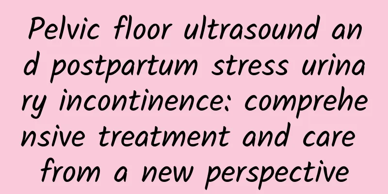 Pelvic floor ultrasound and postpartum stress urinary incontinence: comprehensive treatment and care from a new perspective