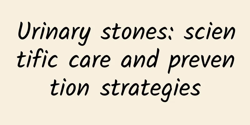 Urinary stones: scientific care and prevention strategies