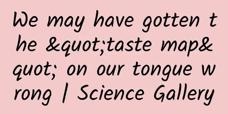 We may have gotten the "taste map" on our tongue wrong | Science Gallery