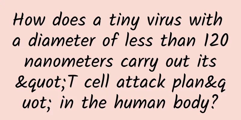 How does a tiny virus with a diameter of less than 120 nanometers carry out its "T cell attack plan" in the human body?