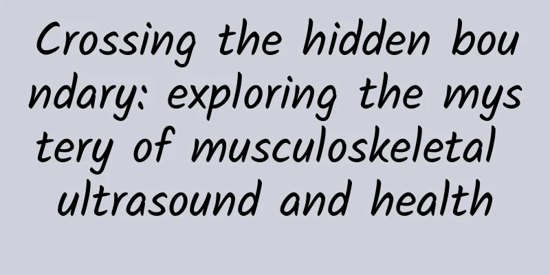 Crossing the hidden boundary: exploring the mystery of musculoskeletal ultrasound and health