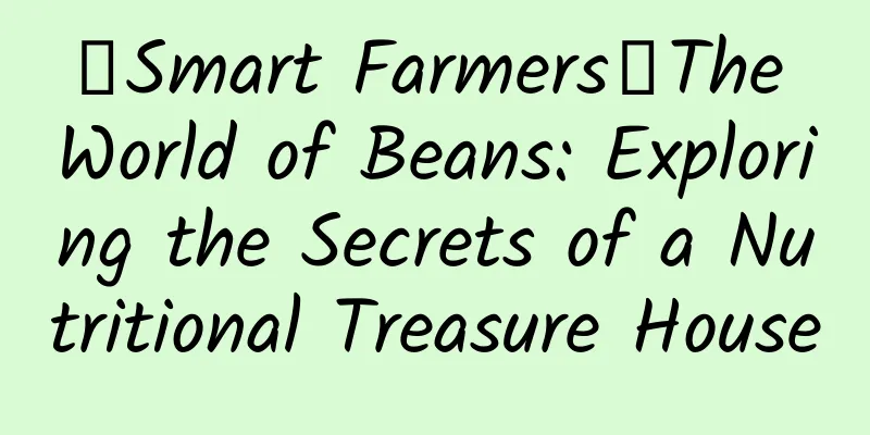 【Smart Farmers】The World of Beans: Exploring the Secrets of a Nutritional Treasure House