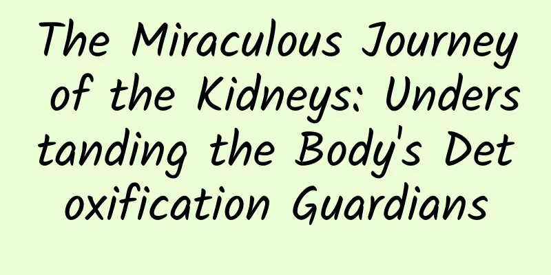The Miraculous Journey of the Kidneys: Understanding the Body's Detoxification Guardians