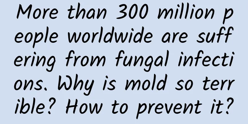 More than 300 million people worldwide are suffering from fungal infections. Why is mold so terrible? How to prevent it?