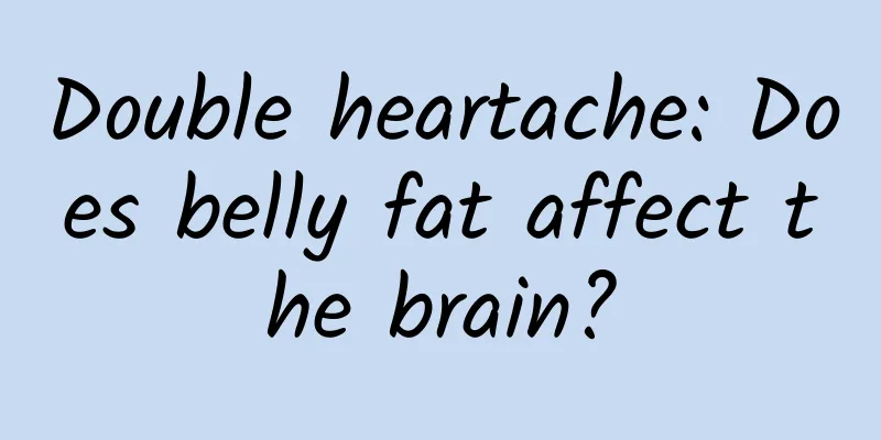 Double heartache: Does belly fat affect the brain?