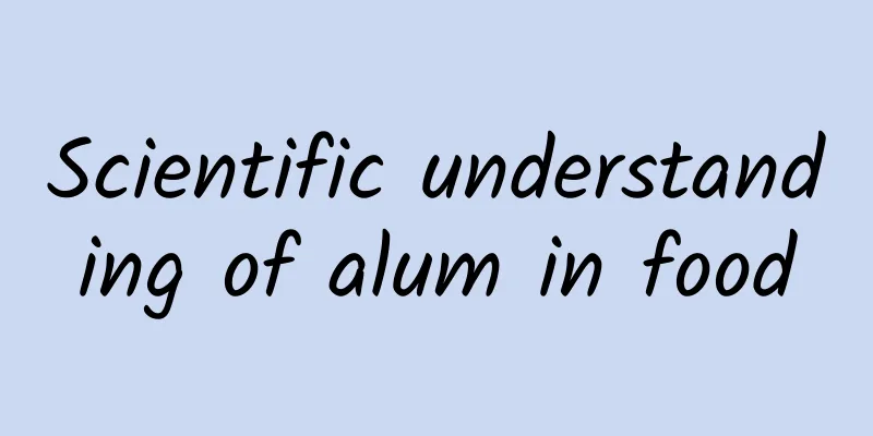 Scientific understanding of alum in food