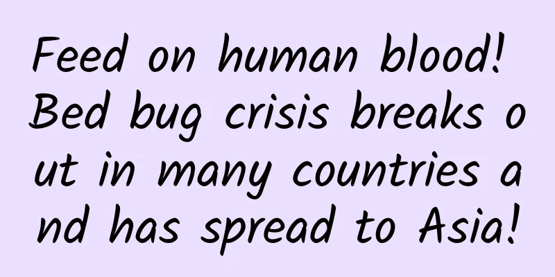 Feed on human blood! Bed bug crisis breaks out in many countries and has spread to Asia!