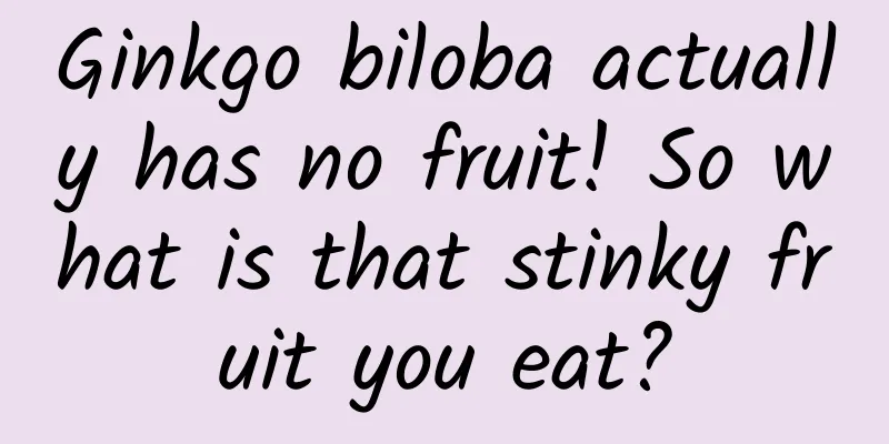 Ginkgo biloba actually has no fruit! So what is that stinky fruit you eat?