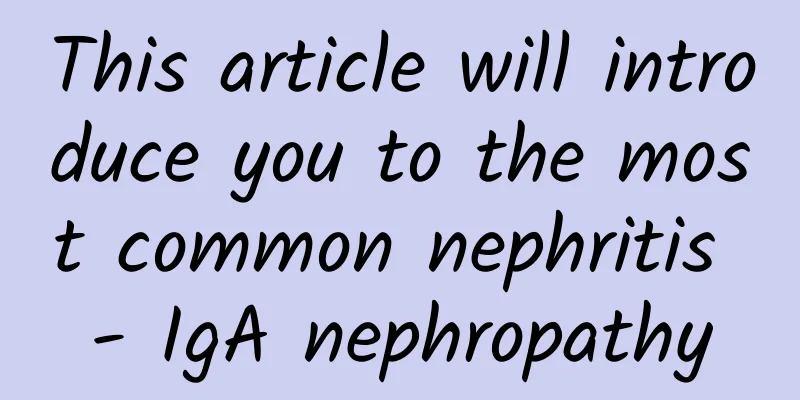 This article will introduce you to the most common nephritis - IgA nephropathy