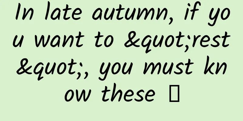 In late autumn, if you want to "rest", you must know these →