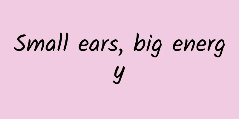 Small ears, big energy
