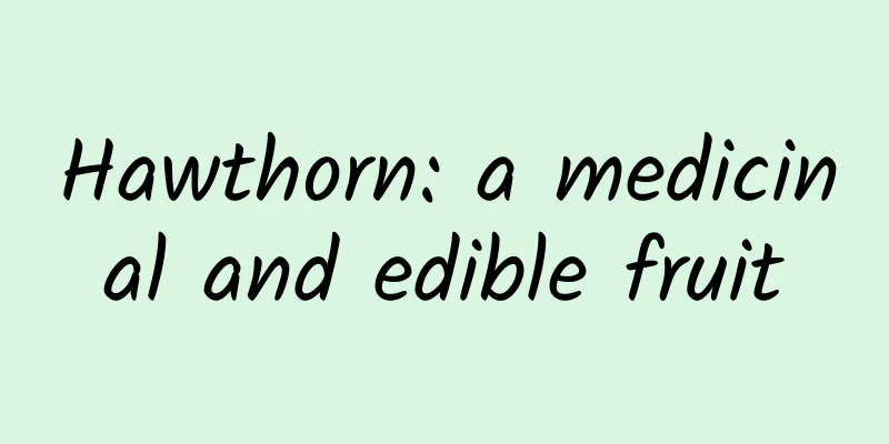 Hawthorn: a medicinal and edible fruit