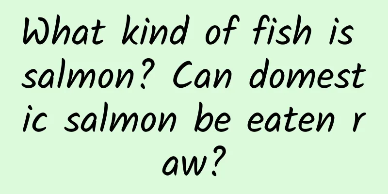 What kind of fish is salmon? Can domestic salmon be eaten raw?