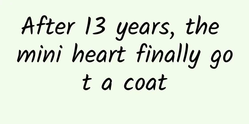 After 13 years, the mini heart finally got a coat