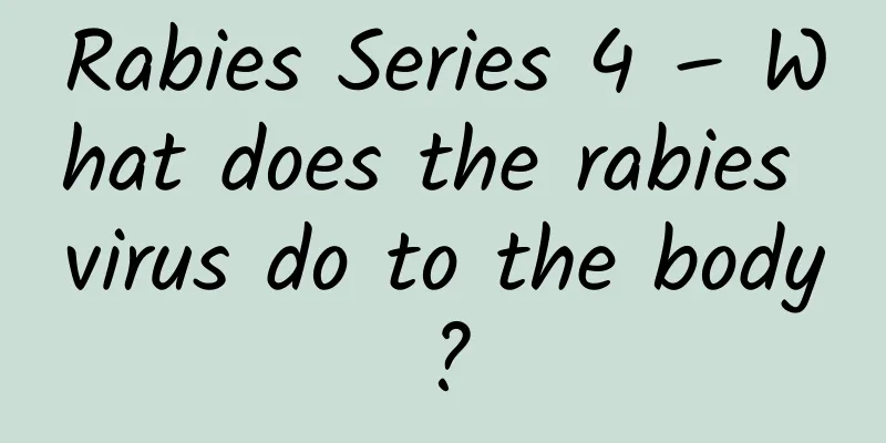 Rabies Series 4 – What does the rabies virus do to the body?