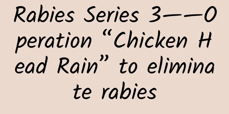 Rabies Series 3——Operation “Chicken Head Rain” to eliminate rabies