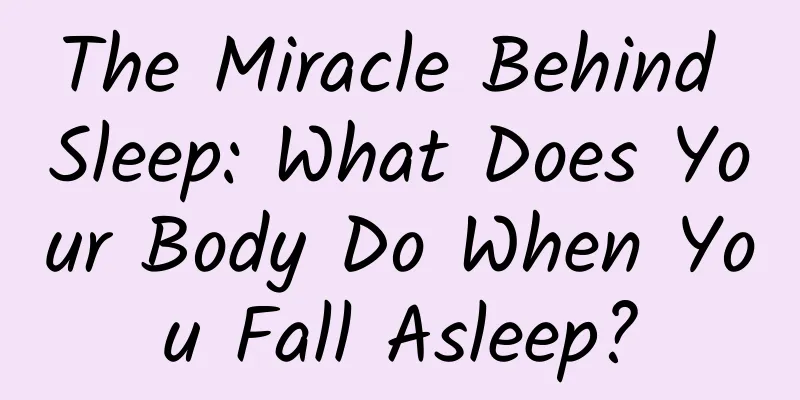 The Miracle Behind Sleep: What Does Your Body Do When You Fall Asleep?