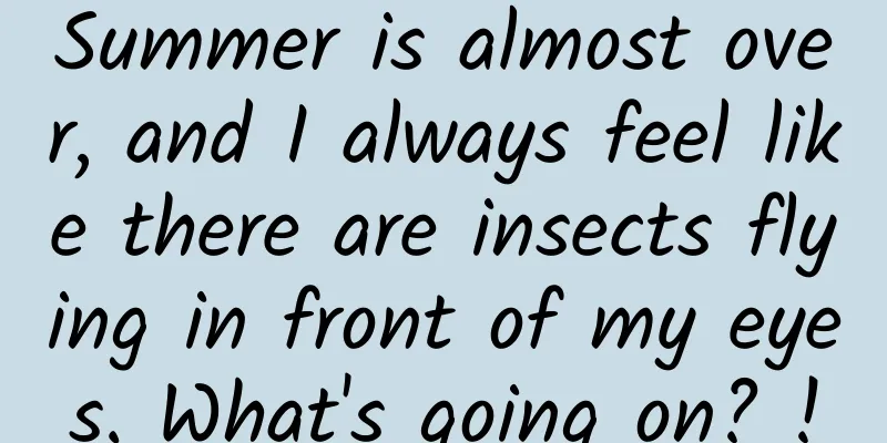 Summer is almost over, and I always feel like there are insects flying in front of my eyes. What's going on? !