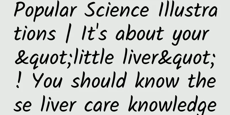 Popular Science Illustrations | It's about your "little liver"! You should know these liver care knowledge