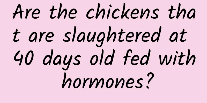 Are the chickens that are slaughtered at 40 days old fed with hormones?