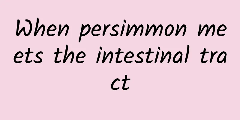 When persimmon meets the intestinal tract