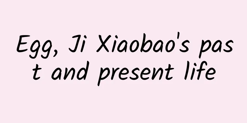 Egg, Ji Xiaobao's past and present life