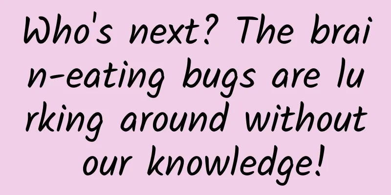 Who's next? The brain-eating bugs are lurking around without our knowledge!