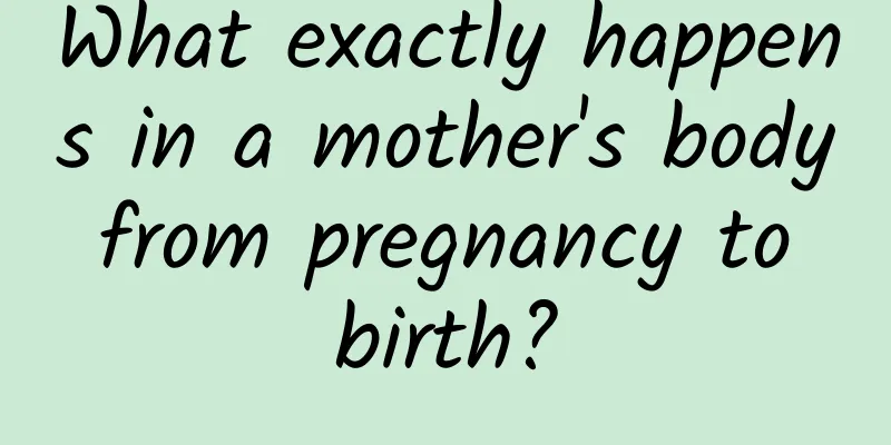 What exactly happens in a mother's body from pregnancy to birth?