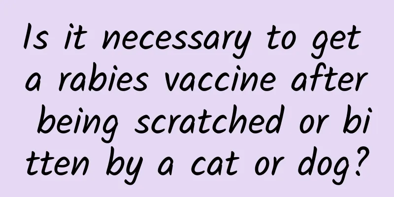 Is it necessary to get a rabies vaccine after being scratched or bitten by a cat or dog?