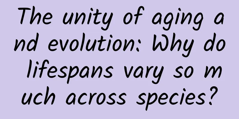 The unity of aging and evolution: Why do lifespans vary so much across species?