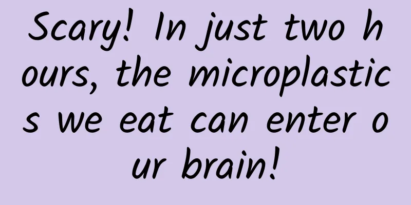 Scary! In just two hours, the microplastics we eat can enter our brain!