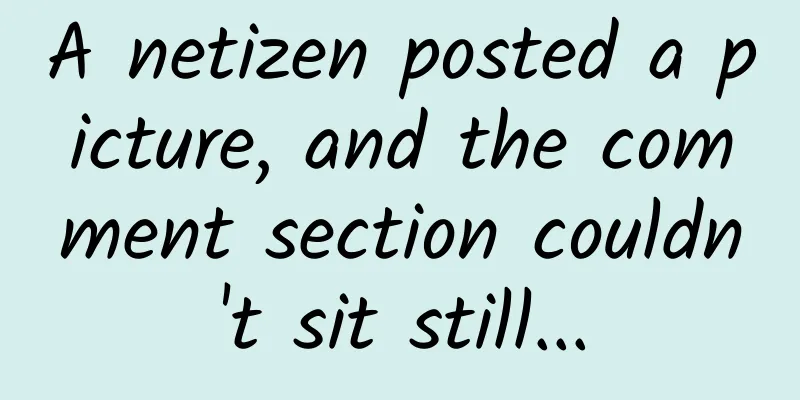 A netizen posted a picture, and the comment section couldn't sit still...
