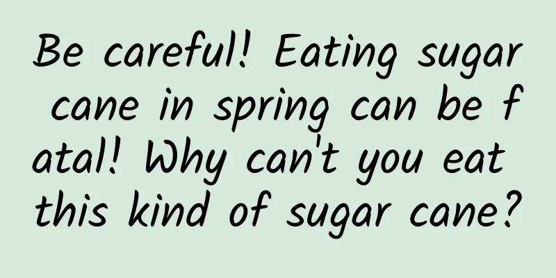 Be careful! Eating sugar cane in spring can be fatal! Why can't you eat this kind of sugar cane?