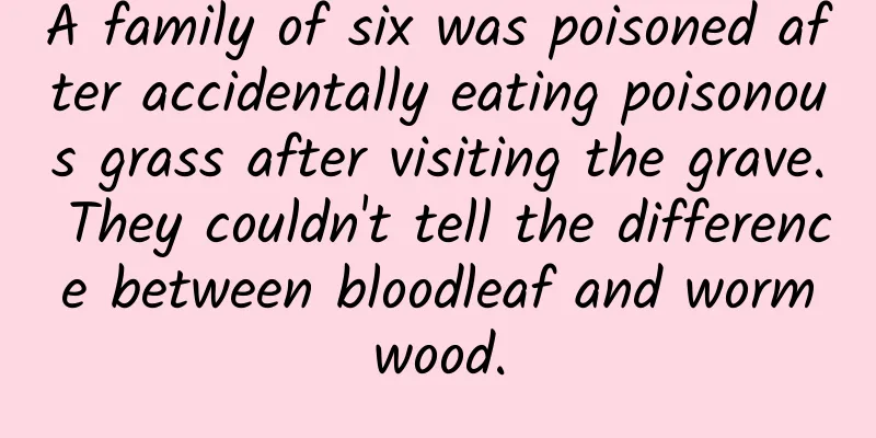 A family of six was poisoned after accidentally eating poisonous grass after visiting the grave. They couldn't tell the difference between bloodleaf and wormwood.