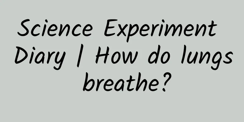 Science Experiment Diary | How do lungs breathe?